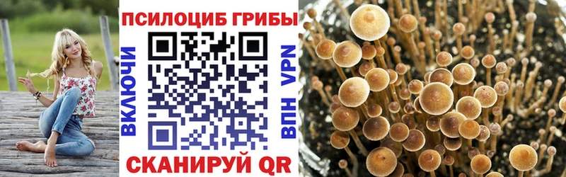 Купить  Карабаново  Псилоцибиновые грибы MAGIC MUSHROOMS 