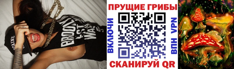 Галлюциногенные грибы GOLDEN TEACHER Карабаново